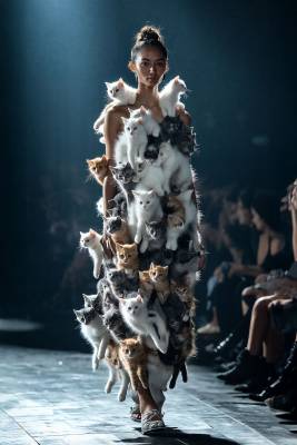 Catwalk