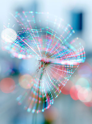 Bunte Mini-Cyberspinne in einem riesigen Netz aus digitalen Fasersträngen