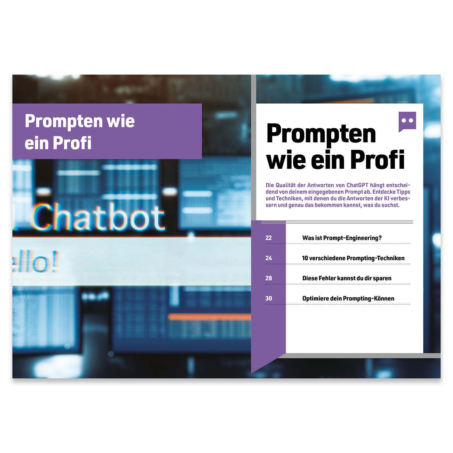 PromptPro Guide 1/2025